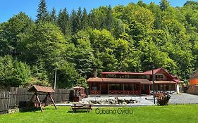 Cabana Ovidiu